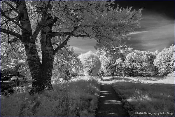 A bit of IR B&W fun with Darktable