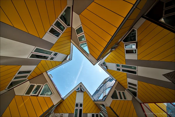 A stroll through downtown Rotterdam today