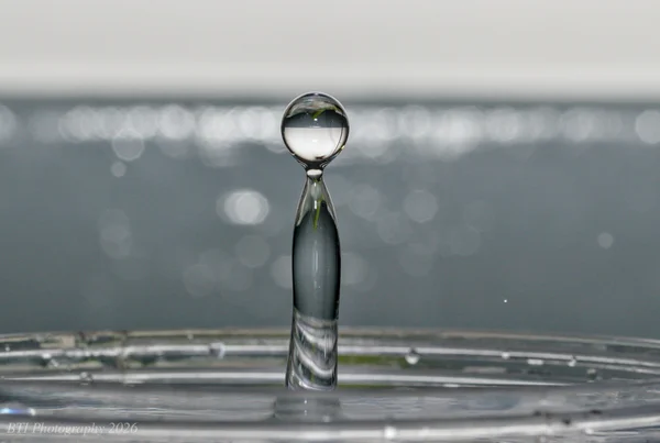 Splish, Splash, Splosh. Water Droplet Photography.